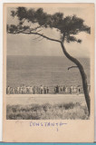 Bnk cp Constanta - Faleza - uzata 1958, Circulata, Printata