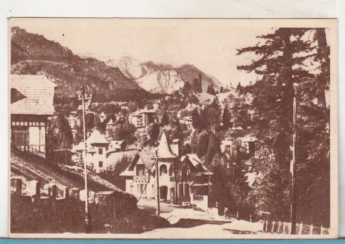 bnk cp Sinaia - Vedere - circulata 1954