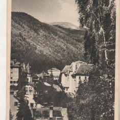 bnk cp Sinaia - Vedere de pe Furnica - circulata 1954