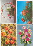 Bnk cp Flori - lot 16 carti postale si felicitari, Circulata, Printata
