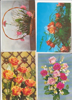 bnk cp Flori - lot 16 carti postale si felicitari foto