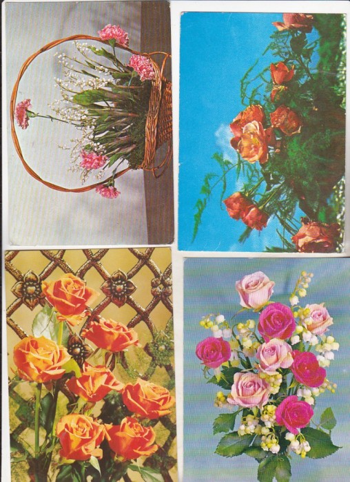 bnk cp Flori - lot 16 carti postale si felicitari