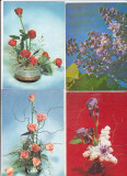 Bnk cp Flori - Romania - lot 16 carti postale necirculate, Necirculata, Printata