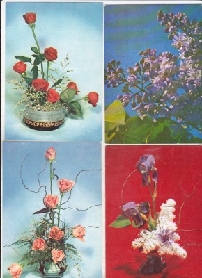 bnk cp Flori - Romania - lot 16 carti postale necirculate foto