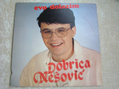 DOBRICA NESOVIC - Evo Dolazim (Muzica Sarbeasca) - Vinil LP Iugoslavia foto