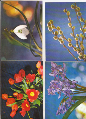 bnk cp Flori - Romania - lot 16 carti postale necirculate foto