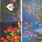 bnk cp Flori - Romania - lot 16 carti postale necirculate