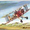 bnk cp Alexandru Papana si avionul Bucker Jungmesiter YR-PAX - necirculata