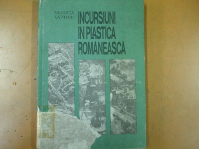 Incursiuni in plastica romaneasca Cluj Napoca 1987 Negoiță Lăptoiu vol. II 045 foto