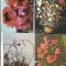 bnk cp Flori - Romania - lot 15 carti postale necirculate