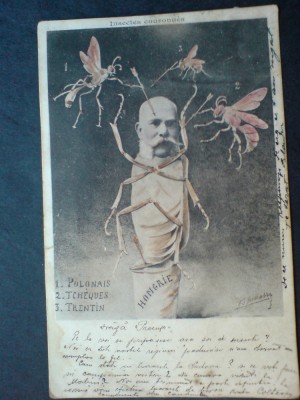 Franz Joseph foto
