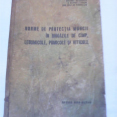 NORME DE PROTECTIA MUNCII IN BRIGAZILE DE CIMP,LEGUMICOLE,POMICOLE SI VITICULE