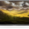 LG Televizor LED LG 109 cm (43&quot;) 43LH560, Full HD, Smart TV, webOS 2.0, WiFi, CI+