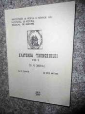 Anatomia Trunchiului Vol.1 - M. Chiriac, M. Zamfir, St.d. Antohe ,534985 foto