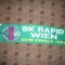 Fular Meci Fotbal Feyenoord- Rapid Viena