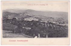 #1966- Romania, salutari Felsobanya, Baia Sprie, c.p. necirc. 1900: Panorama foto