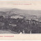 #1966- Romania, salutari Felsobanya, Baia Sprie, c.p. necirc. 1900: Panorama