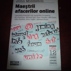 MAESTRII AFACERILOR ONLINE