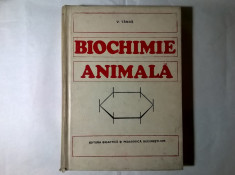 Virgil Tamas - Biochimie animala foto