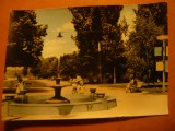 Ilustrata - Silistra - Parcul ,langa Dunare 1963 Ed. Sofia
