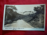 Ilustrata Abrud-Vulcanul -Stanca de Piatra de Var 1266 m FotoBach Alba-Iulia1929, Necirculata, Fotografie