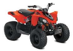 Can-Am DS 90 &amp;#039;17 foto