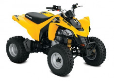 Can-Am DS 250 &amp;#039;17 foto