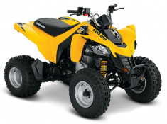 Can-Am DS 250 &amp;#039;16 foto