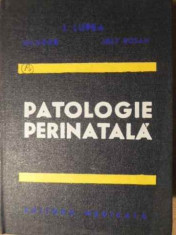 Patologie Perinatala - Gh. Ursu I. Lupea L. Rosan ,387045 foto