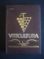 T. MARTIN - VITICULTURA {1966} foto