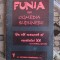 Viorel SAVIN - FUNIA (prima editie - 1997, cu autograf)