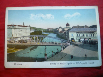 Ilustrata Oradea - Vedere in Malul Crisului 1929 , color foto