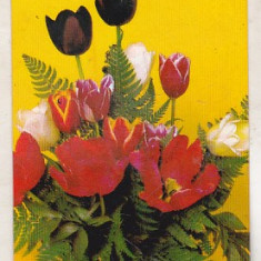 bnk cld Calendar de buzunar 1980 - M.A.I.A. - flori