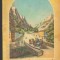 (C7135) MAGAZIN ISTORIC NOIEMBRIE 1981