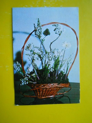 Hopct 3003 Flori Ide Gradina N Cosulet Circulata Okazii Ro