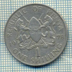 7049 MONEDA- KENYA - 1 SHILLING -anul 1978 -starea ce se vede