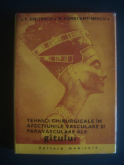 TEHNICI CHIRURGICALE IN AFECTIUNILE VASCULARE SI PARAVASCULARE ALE GATULUI foto