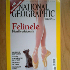 h1a National Geographic - Felinele - o familie aristocrata