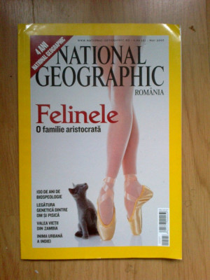 h1a National Geographic - Felinele - o familie aristocrata foto