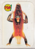 Bnk cld Calendar de buzunar 1996 - Top!