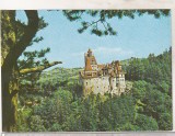 Bnk cp Castelul Bran - Vedere - necirculata - marca fixa, Printata, Brasov