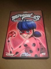 Miraculous - Buburuza si Motan Noir Animatie dublata romana 8 DVD foto