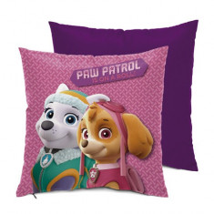 Perna 35 cm Skye si Everes din serial Paw Patrol foto