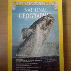 d10 National Geographic - At home With Right Whales