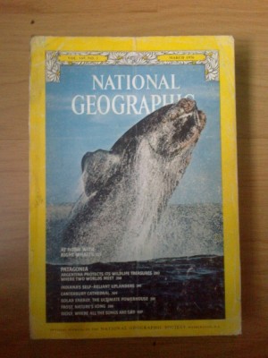 d10 National Geographic - At home With Right Whales foto