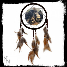 Dreamcatcher lupi Wild Watchers foto