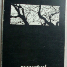 PETRU ILIESU-PASTEL HANDICAPAT (VERSURI vol. debut 1978/pref.MARCEL POP-CORNIS)
