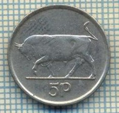 7365 MONEDA- IRLANDA - 5 PENCE - anul 1992 -starea ce se vede