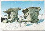 bnk cp Bucegi - Babele - QSL circulat
