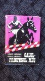 CALUL PRIETENUL MEU - EMANUEL FANTANEANU, NICOLAE SERBANESCU